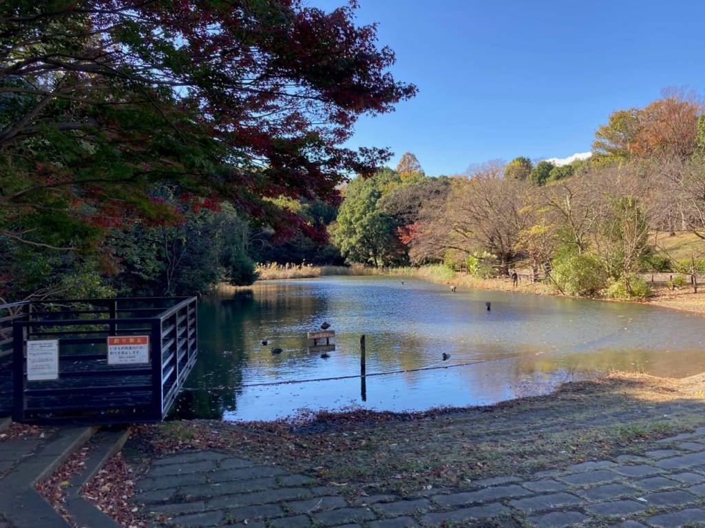 鴨池公園