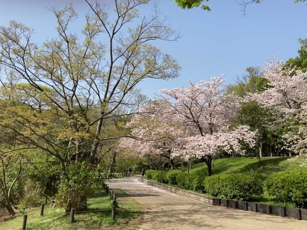 鴨池公園