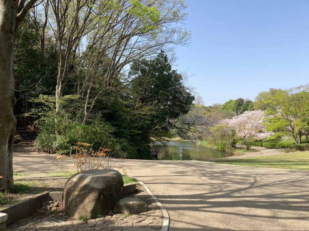 鴨池公園