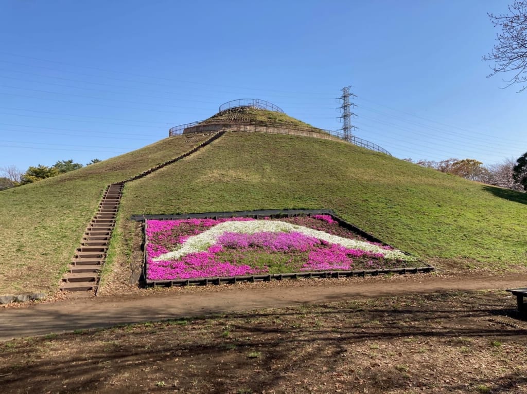 川和富士公園